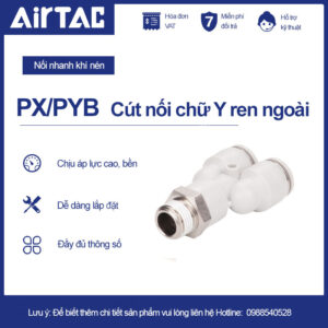 PyB-cut-noi-1-copy.jpg